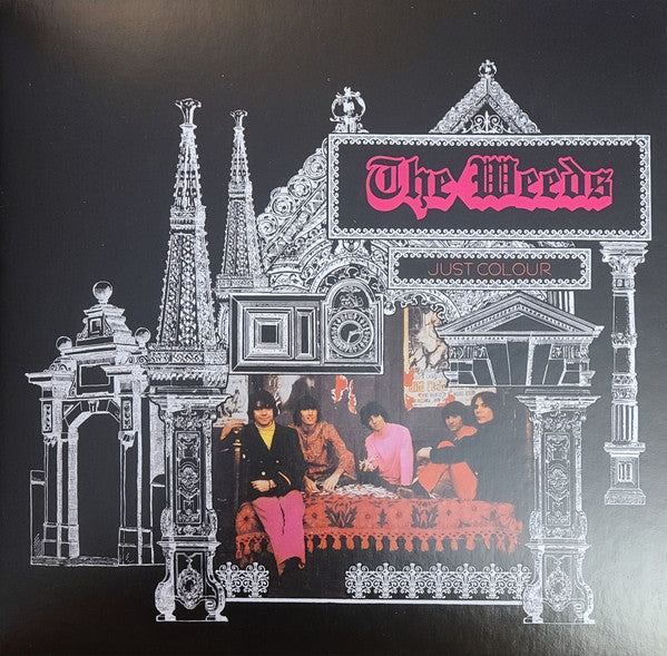 Just Colour | Mint (M) Mint (M)