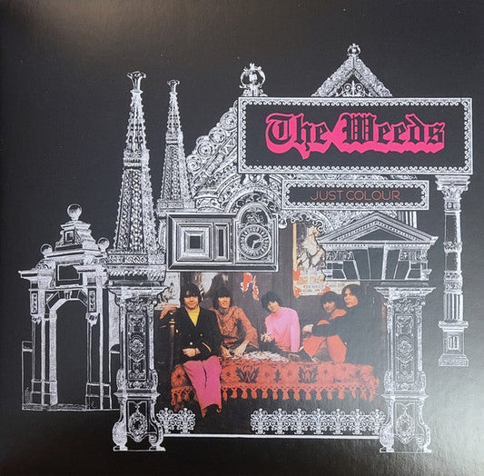 Just Colour | Mint (M) Mint (M)