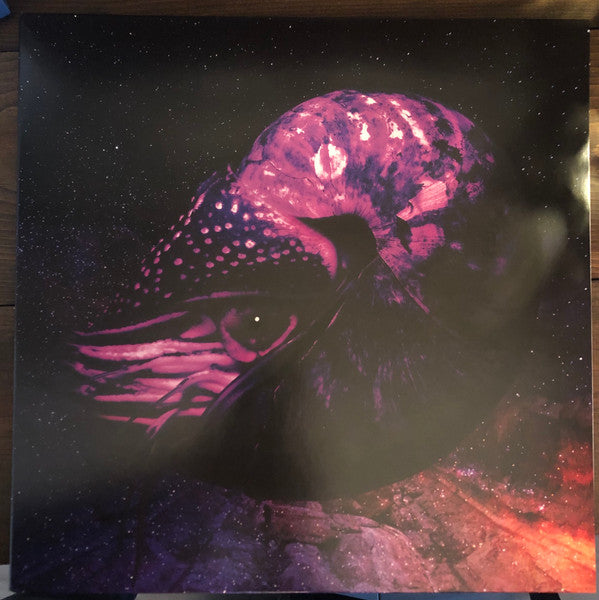 Creeps | Mint (M) Mint (M)