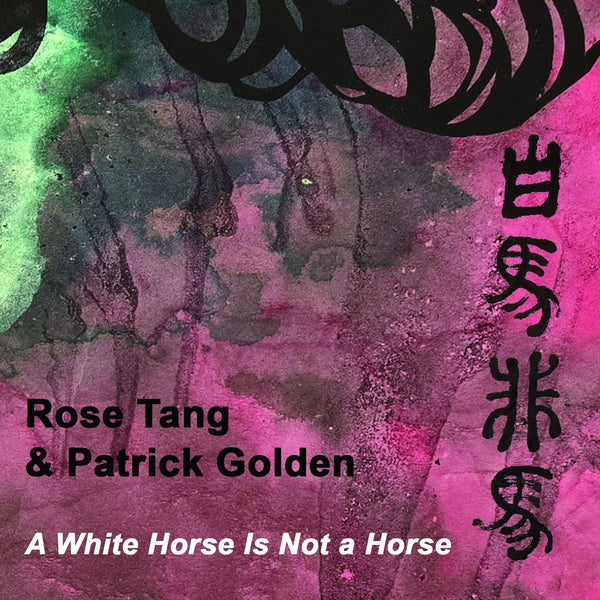 A White Horse Is Not A Horse |