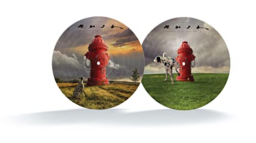 Signals (LTD 40th Anniversary Picture Disc) | Mint (M) Mint (M)
