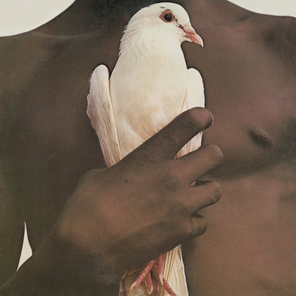 Santana Greatest Hits (1974 Edition) (150 Gram Vinyl, Download Insert) | Mint (M) Mint (M)