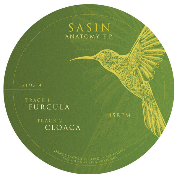 Anatomy E.P. | Mint (M) Generic- X Vinyl Record