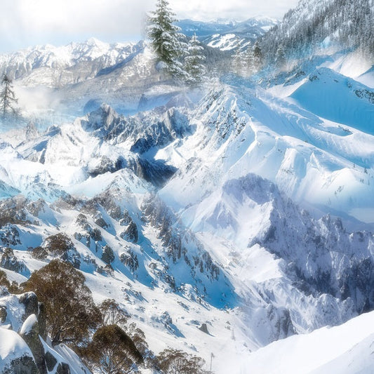 Holiday |- X Vinyl Record