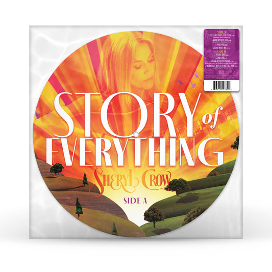 Story Of Everything (Picture Disc) | Mint (M) Mint (M)