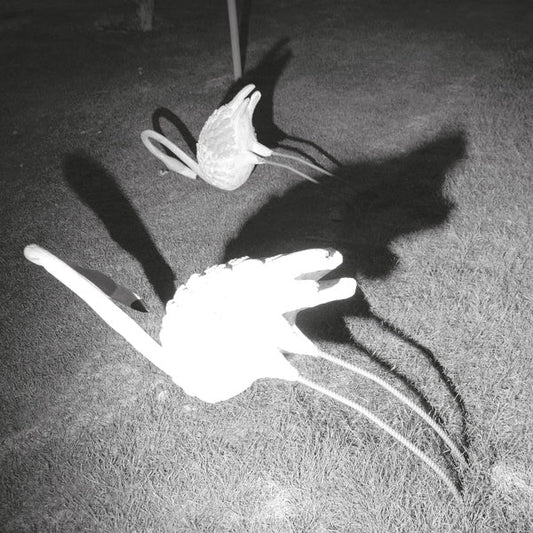 A Mimesis of Nothingness [Import] (WHITE VINYL) | Mint (M) Mint (M)