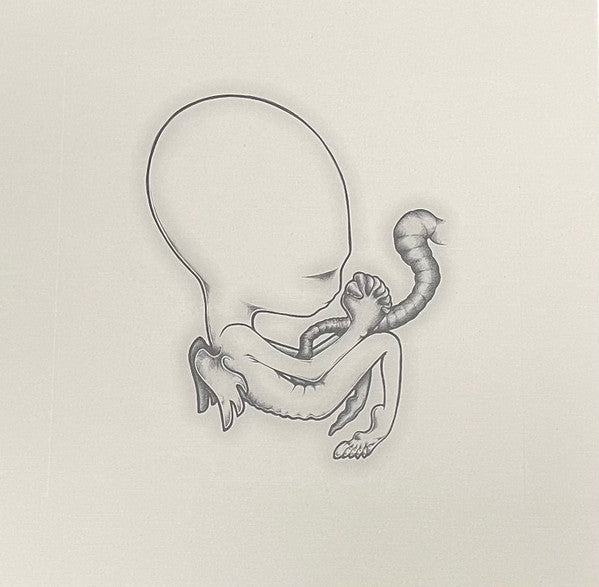 Ágætis Byrjun (COLOR VINYL - VMP) | Mint (M) Mint (M)