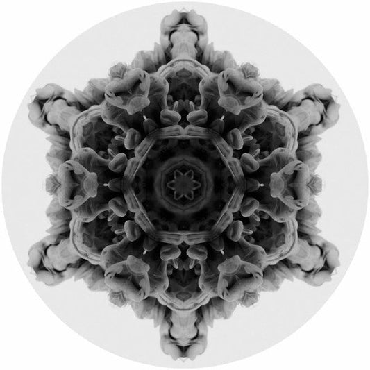 Moi (10) 12 12" Mint (M) Generic