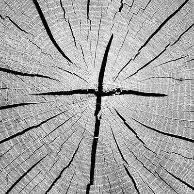 The Best of That's Why |- X Vinyl Record