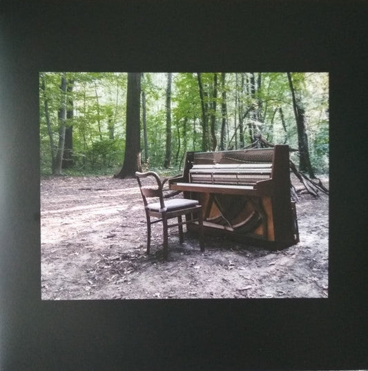 Acoustic II | Mint (M) Mint (M)