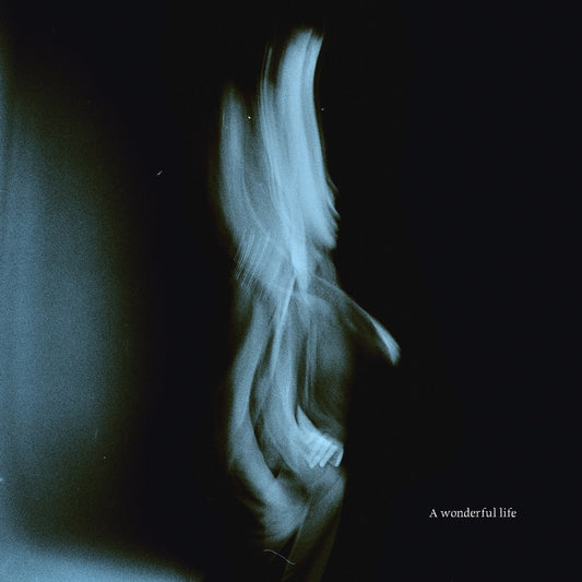 A Wonderful Life (PRE-ORDER 9/5/25)(Black Vinyl) | Mint (M) Mint (M)