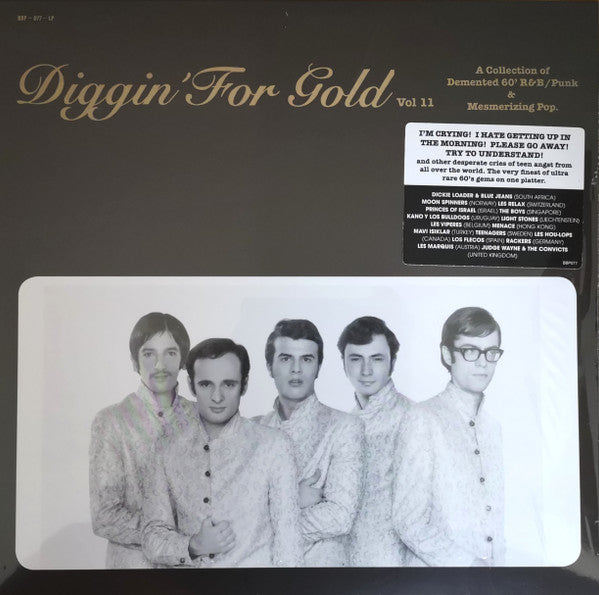 Diggin' For Gold Vol 11 | Mint (M) Mint (M)