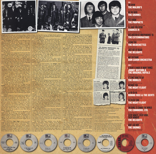 We're Gonna Change The World! (The 60's Chicago Garage Sound Of Quill Productions) | Mint (M) Mint (M)