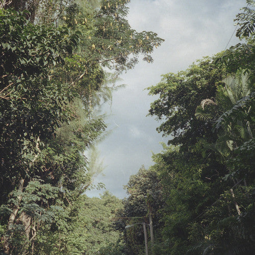 New Once | Mint (M) Mint (M)