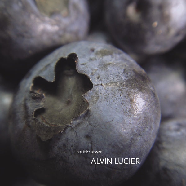 Alvin Lucier |